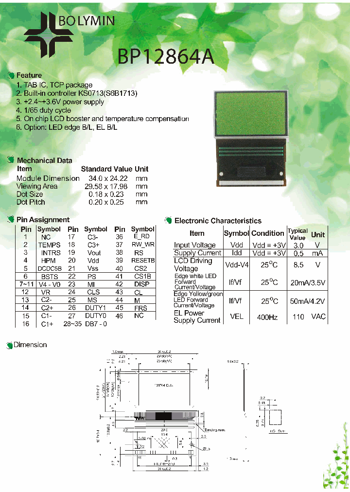 BP12864A_1095464.PDF Datasheet